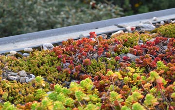 the cost of The Strand green roof installation