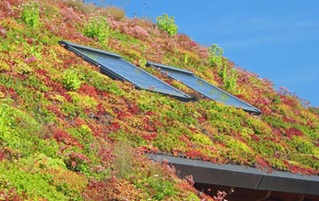 The Strand living roof systems