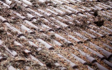 The Strand roof cleaning companies